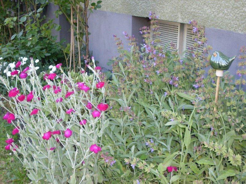 garten4.jpg